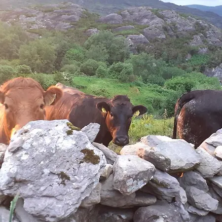 Cuckoo Tree House Beara Peninsula *