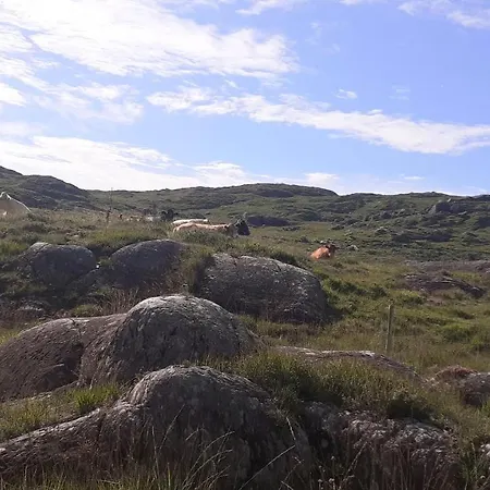 Cuckoo Tree House Beara Peninsula *