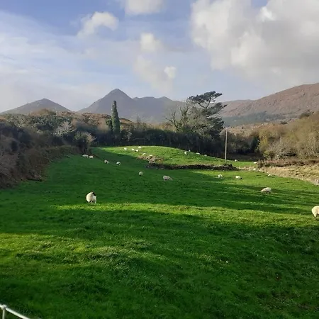 Cuckoo Tree House Beara Peninsula Ferienhaus