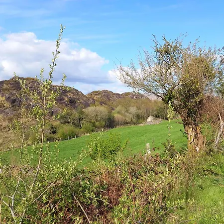 Cuckoo Tree House Beara Peninsula Glengarriff