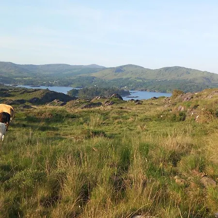 Cuckoo Tree House Beara Peninsula Ferienhaus
