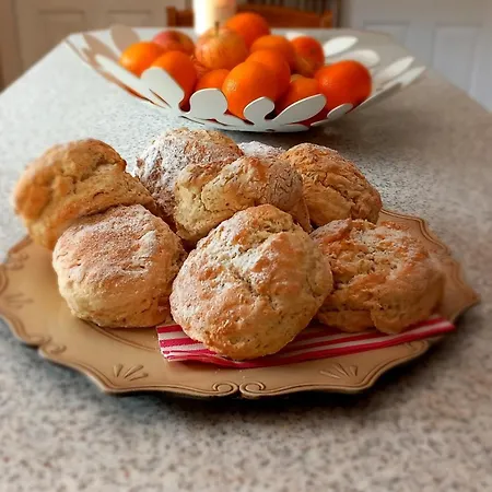 Cuckoo Tree House Beara Peninsula * Glengarriff