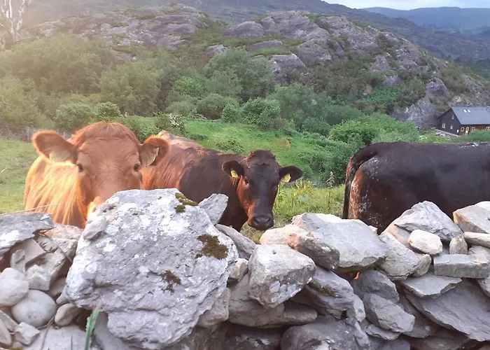 Cuckoo Tree House Beara Peninsula *