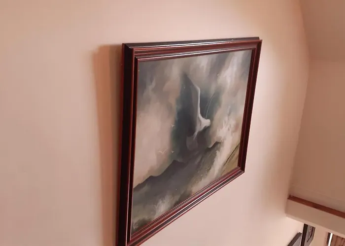 Tatil Evi Cuckoo Tree House Beara Peninsula