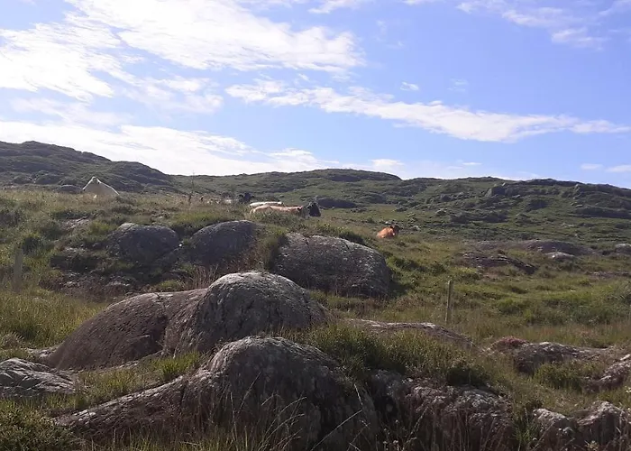 Cuckoo Tree House Beara Peninsula *