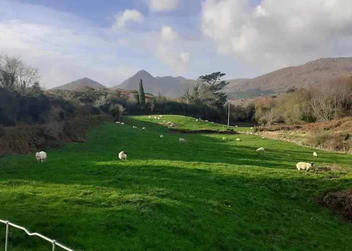 Cuckoo Tree House Beara Peninsula Tatil Evi
