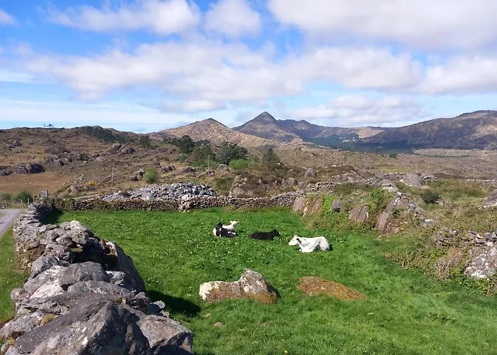 Cuckoo Tree House Beara Peninsula Дом отдыха
