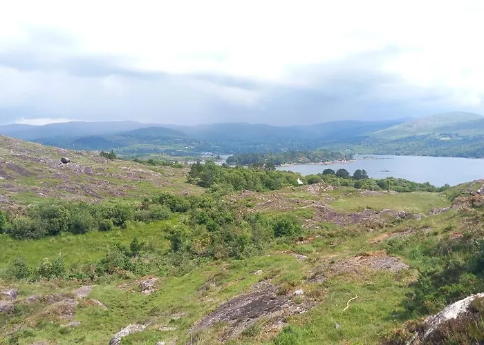 Cuckoo Tree House Beara Peninsula Дом отдыха