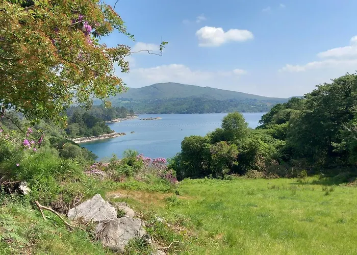 Дом отдыха Cuckoo Tree House Beara Peninsula