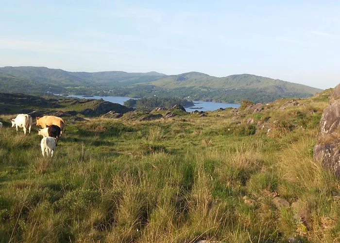 Cuckoo Tree House Beara Peninsula Tatil Evi